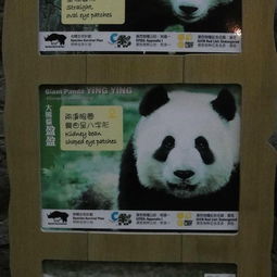  2020熊猫山庄门票,香港熊猫山庄游玩攻略,熊猫山庄游览攻略路线地址门票价格