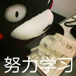  熊本熊搞笑呆萌带字头像2018最新最好的滋味就是耐人寻味