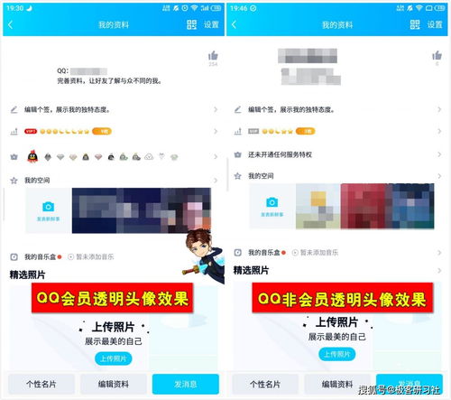  qq透明头像通用设置教程不仅简单而且免费
