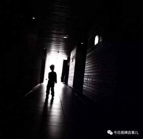  花落成溪一座神秘的古镇,一个神秘的故事连载24