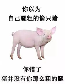 黑白猪头像不明