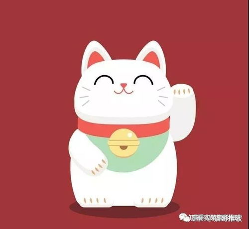  猫哥推波今晚热刺,拉齐奥,法甲