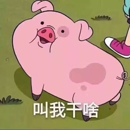  换个新头像,换份好运气102张