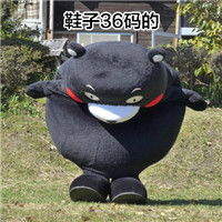 熊本熊头像不带字头皮屑