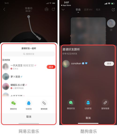 网易云音乐祝酷狗狗年快乐