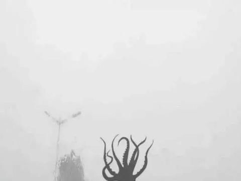  章鱼哥