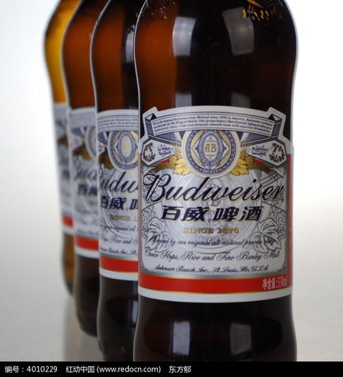  百威啤酒高清图片下载红动网
