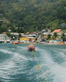  charlotteville照片多巴哥charlotteville精选照片tripadvisor