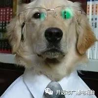  开远市2017年高考情况出来啦