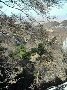  国家5a级景区.全国重点风景名胜区.道教名山崆峒山游记二