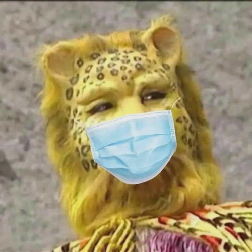  金钱豹刷爆朋友圈,化身新年财神