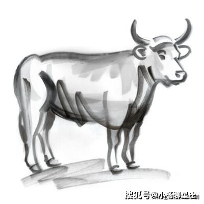  刻骨铭心12星座如何为爱疯狂