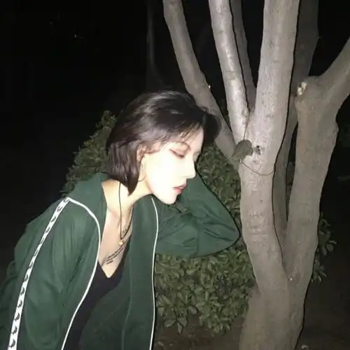  我们不合适还有下一句别傻了,你若盛开,清风自来