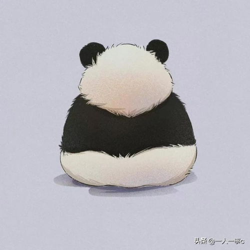  熊猫头像,你想要的圆滚滚这里都有