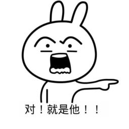  微博兔斯基搞怪九宫格