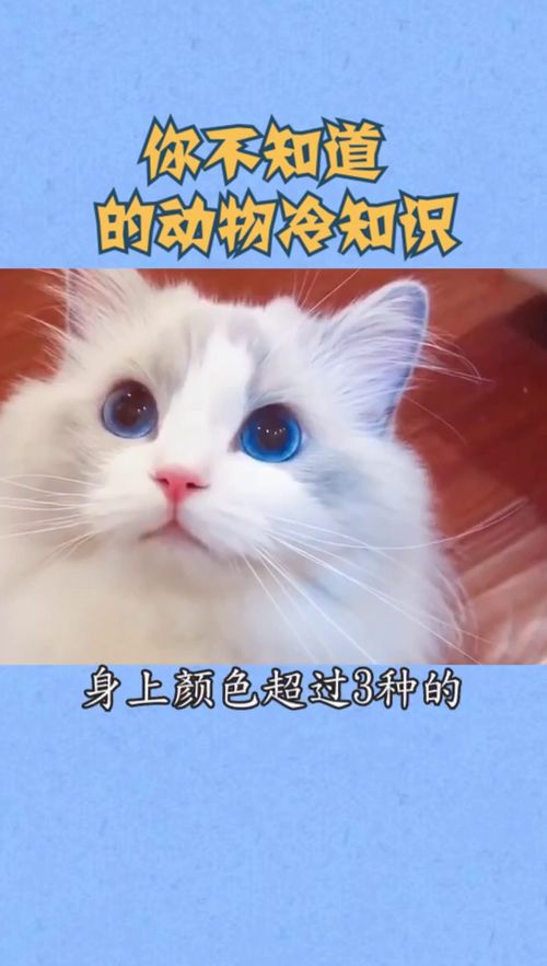  你不知道的动物冷知识