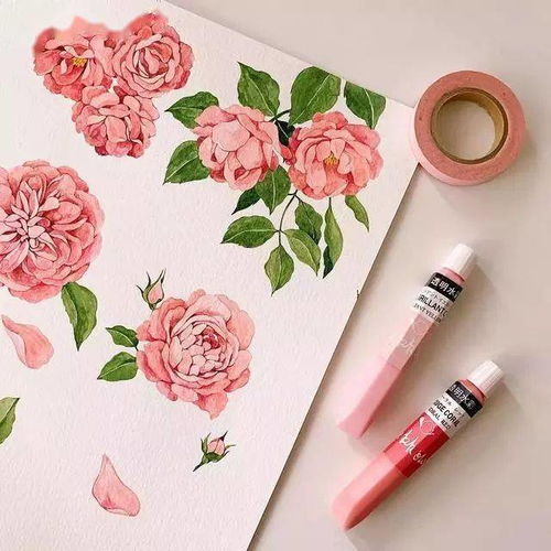  插画师yirangkim笔下的小清新植物手绘,让你的心情得到治愈