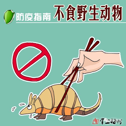  防疫指南连环画教你掌握防疫知识,简单明了易操作