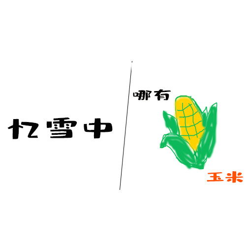  飞雪压肩,白不过白头
