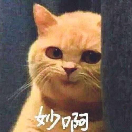  金牛座和天秤座在一起合适吗
