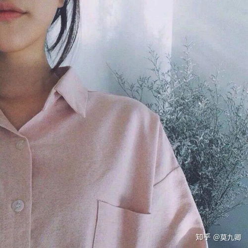  有没有好看的les情侣头像