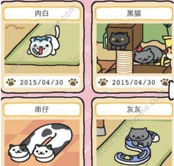  猫咪后院特殊猫怎么收集特殊猫收集方法介绍