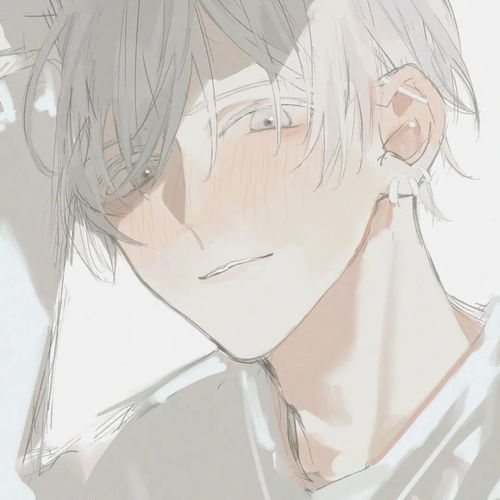  不常见的王者高端局动漫男头