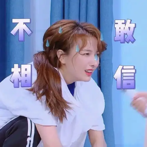  爱豆表情包乘风破浪的姐姐