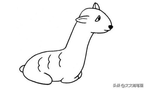 动物头像大全简笔画野生