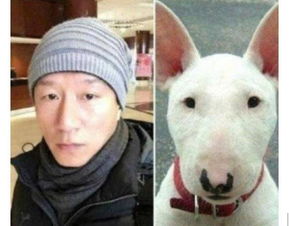  社交平台卖李荣浩同款狗狗,便宜到1元钱,这些狗也都挂上了标签