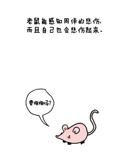  乌龟用屁股呼吸章鱼不爱出门动物的冷知识你知道多少