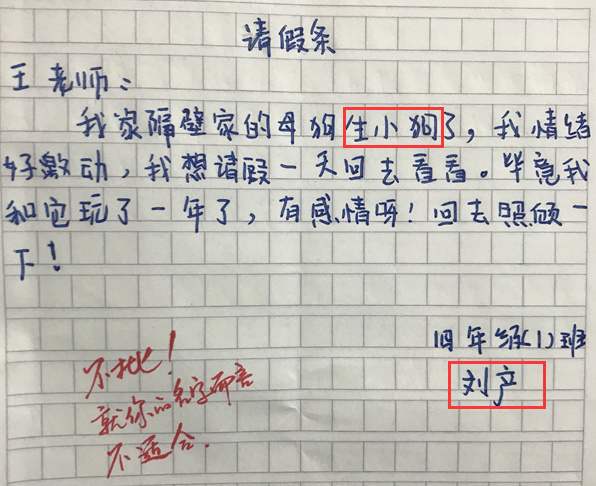  搞笑gif自从女友买了这个,天天吃丸子,香菇丸子,鱼肉丸子我讨厌丸子感觉