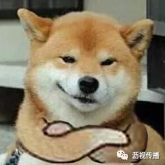  我和师傅有个约会2018十二生肖运程狗