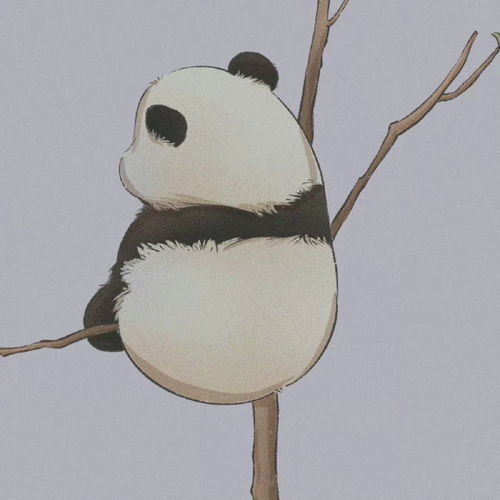  头像就超可爱的大熊猫