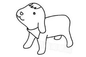  狗狗怎么画简笔画图解