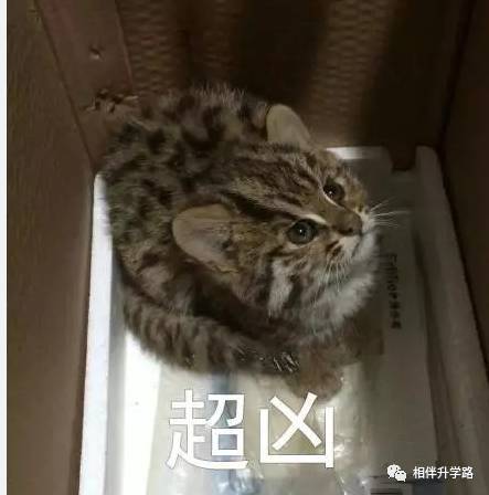  妈妈又咆哮了我们该怎样当不咆哮父母智慧家教