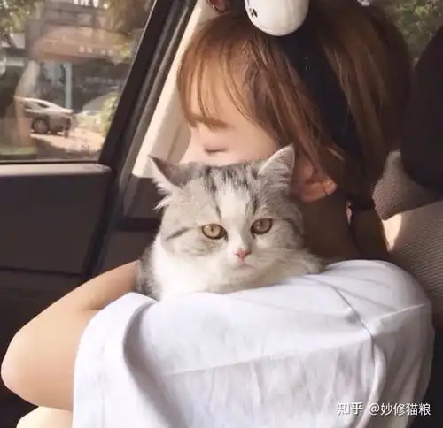 猫咪治愈系头像拟人男人