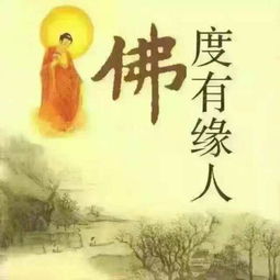 沉睡的狮子头像有缘人