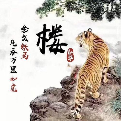 姓氏头像朱姓属马
