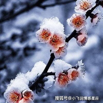  最让男人着迷的三个生肖女,还有女人味,太有魅力了
