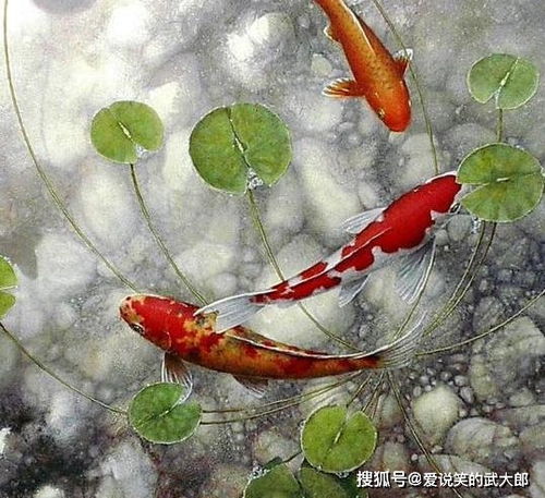  农历此3个月出生的人,多有卧虎藏龙之辈,平凡也能成有钱人