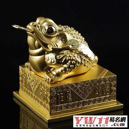  梦见金蟾