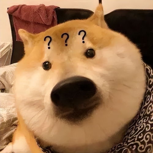 沙雕动物头像神兽
