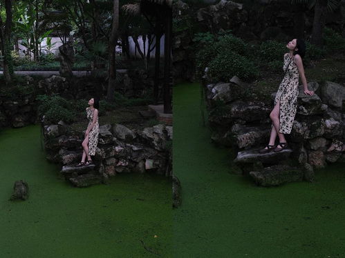  不想露脸,氛围感拍摄心得