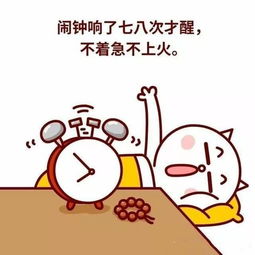  佛系青年的日常