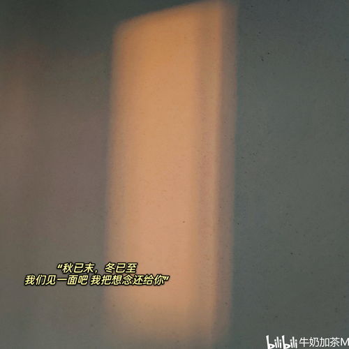  手机相册里的那些照片