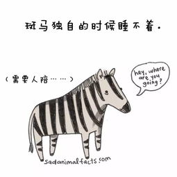  妈呀,不看不知道,原来动物身上竟有这么多逗趣的秘密...