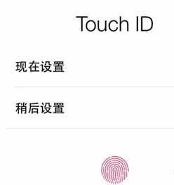  苹果激活id密码忘了怎么激活
