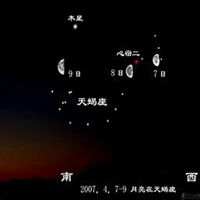  天蝎座带有仇恨图片微信头像图片大全