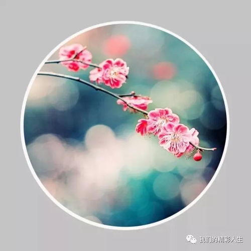  2019,一切看淡,一切随缘